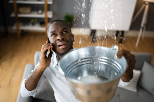 Best Flooded house restoration  in Providence, UT