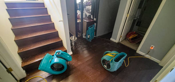 Best Water damage cleanup near me  in Providence, UT