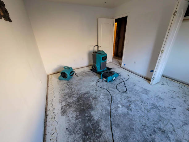 Best Water damage contractors near me  in Providence, UT