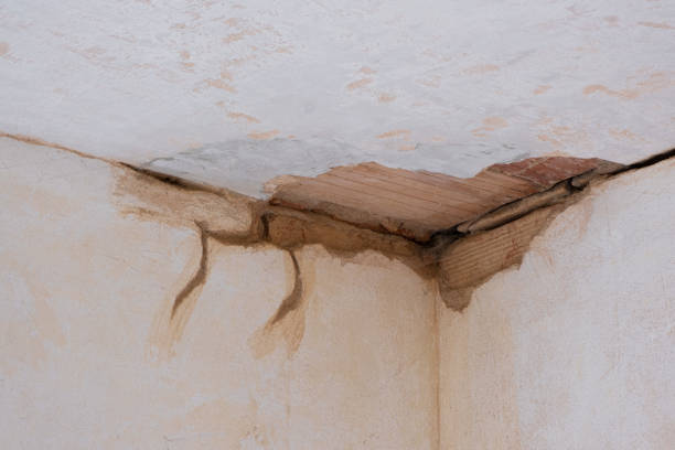 Best Local water damage restoration  in Providence, UT