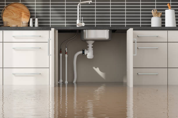 Best Water damage restoration near me  in Providence, UT