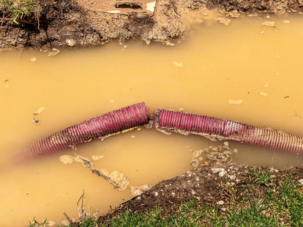 Best Professional water damage repair  in Providence, UT