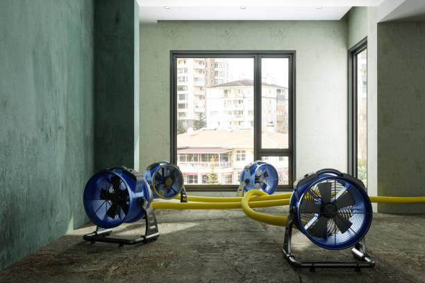 Sewage cleanup and water damage restoration in Providence, UT