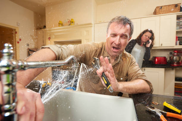 Best Flood damage cleanup  in Providence, UT